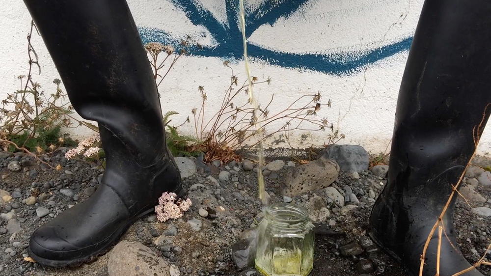 WhiteFeather Hunter’s image - Video still: urine fermentation of sunburst lichen – gathering urine