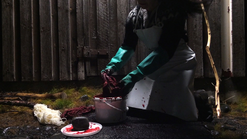 WhiteFeather Hunter’s image - Video still: natural dyeing with sheep blood