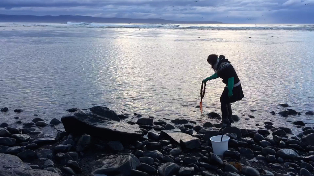 WhiteFeather Hunter’s image - Video still: rinsing yarn dyed with blood