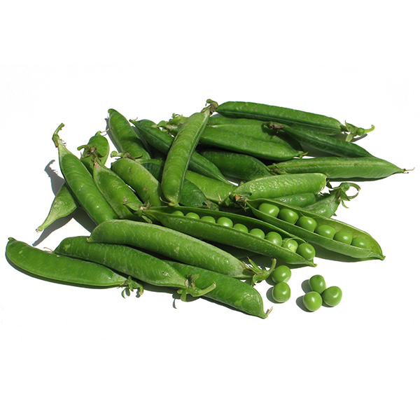 Pea