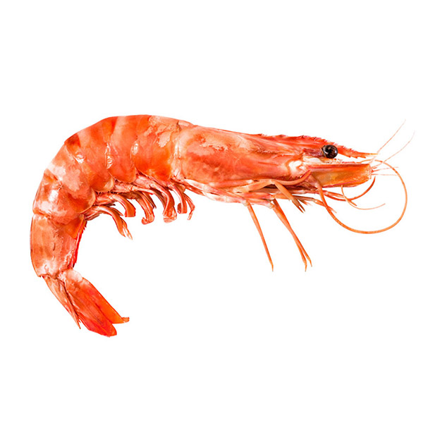 Prawn